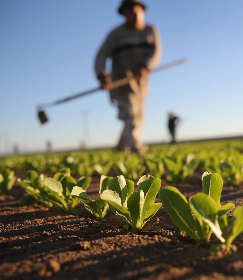 Agriculture and Farming